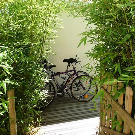 Studio 2 Personnes Proche De La Mer 73334 Appartamento Olonne-sur-Mer